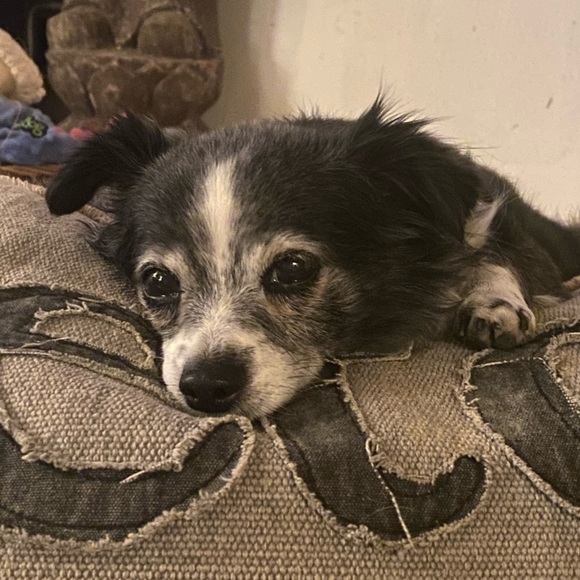 Meet your Posher, Adrienne - Picture 11 of 16